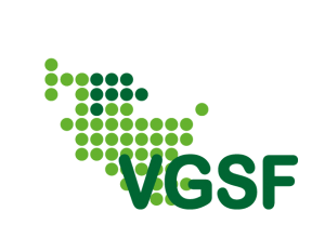 VGSF Logo